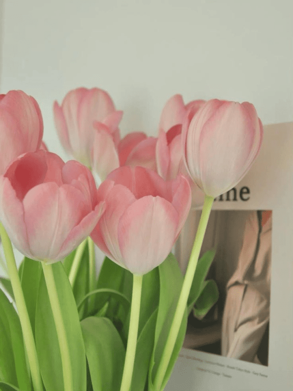 20+ hình ảnh hoa tulip làm hình nền cực xinh (17)